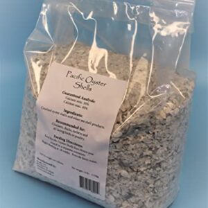 Pacific Oyster Shells - Crushed Oyster Shell Calcium Supplement for Egg-Laying Poultry (Chickens & Ducks) (10)