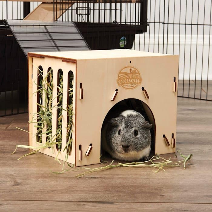 Oxbow Enriched Life Hay House for Guinea Pig, Medium