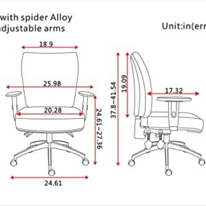 Pago Flash II Deluxe Ergonomic Chair Home Office Desk Chair with Alloy Spider and Adjustable Arms Black