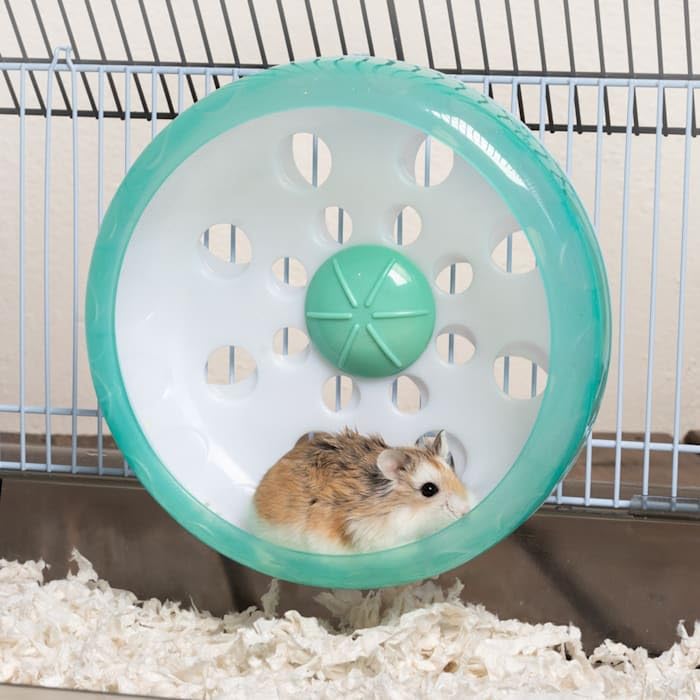 Oxbow Enriched Life Small Animal Accessories - Exercise Wheel for Dwarf Hamsters & Mice - Attachable Quiet Wheel (7 inch)