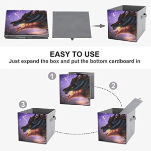 Cool Magma Dragon Collapsible Storage Bins Basics Folding Fabric Storage Cubes Organizer Boxes with Handles