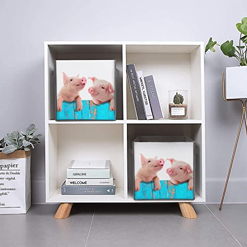 Funny Pig Collapsible Storage Bins Basics Folding Fabric Storage Cubes Organizer Boxes with Handles