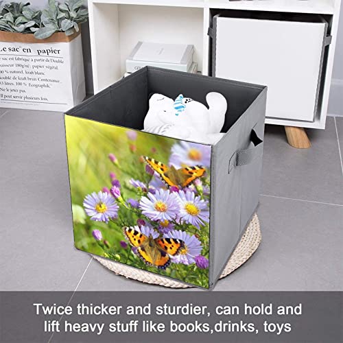 Pansies and Butterfly Collapsible Storage Bins Basics Folding Fabric Storage Cubes Organizer Boxes with Handles