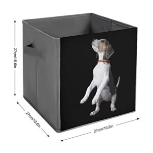 Beagle Collapsible Storage Bins Basics Folding Fabric Storage Cubes Organizer Boxes with Handles