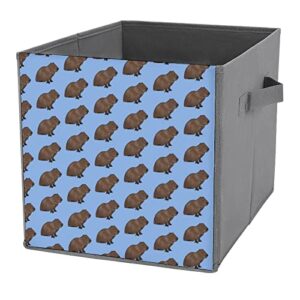 cute capybara collapsible storage bins basics folding fabric storage cubes organizer boxes with handles