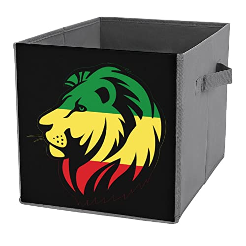 Rasta Lion Collapsible Storage Bins Basics Folding Fabric Storage Cubes Organizer Boxes with Handles