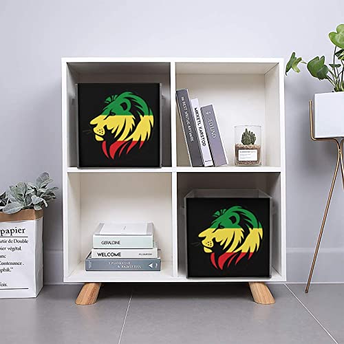 Rasta Lion Collapsible Storage Bins Basics Folding Fabric Storage Cubes Organizer Boxes with Handles