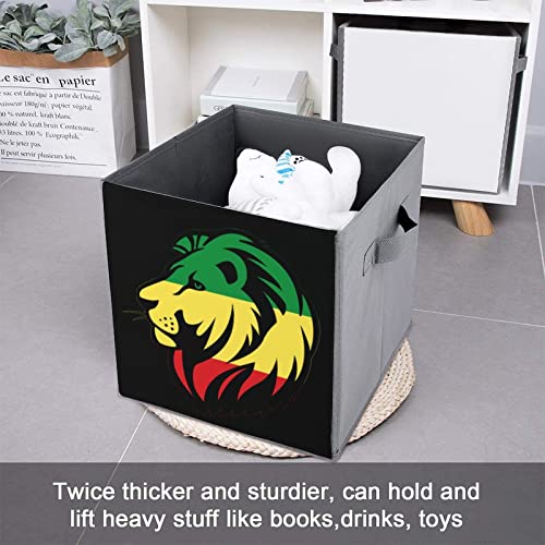 Rasta Lion Collapsible Storage Bins Basics Folding Fabric Storage Cubes Organizer Boxes with Handles