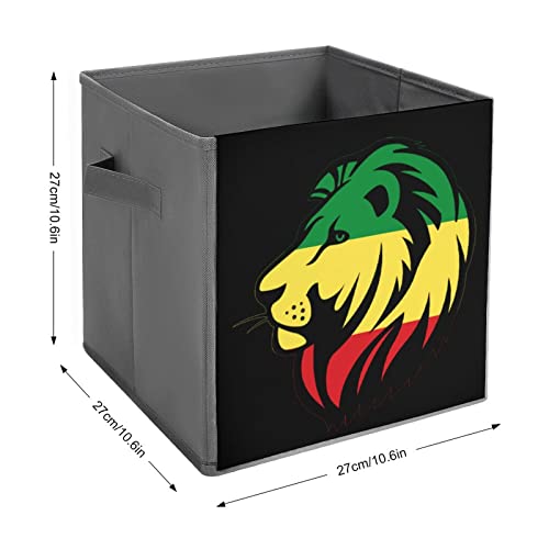 Rasta Lion Collapsible Storage Bins Basics Folding Fabric Storage Cubes Organizer Boxes with Handles