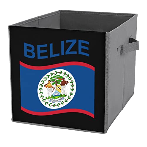 Flag of Belize Collapsible Storage Bins Basics Folding Fabric Storage Cubes Organizer Boxes with Handles