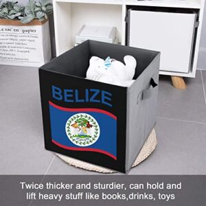 Flag of Belize Collapsible Storage Bins Basics Folding Fabric Storage Cubes Organizer Boxes with Handles