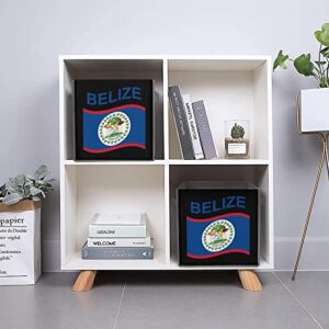 Flag of Belize Collapsible Storage Bins Basics Folding Fabric Storage Cubes Organizer Boxes with Handles