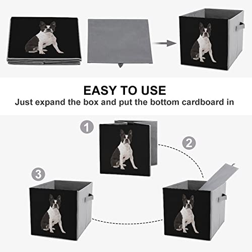 Boston Terrier Collapsible Storage Bins Basics Folding Fabric Storage Cubes Organizer Boxes with Handles