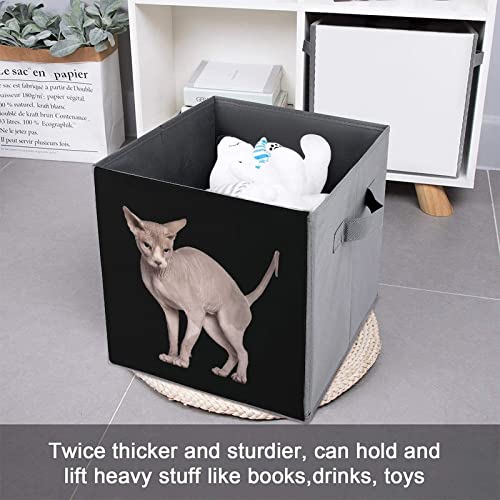 Hairless Sphynx Cat Collapsible Storage Bins Basics Folding Fabric Storage Cubes Organizer Boxes with Handles