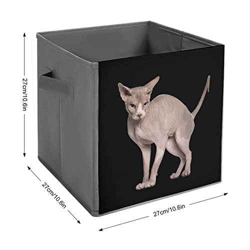 Hairless Sphynx Cat Collapsible Storage Bins Basics Folding Fabric Storage Cubes Organizer Boxes with Handles