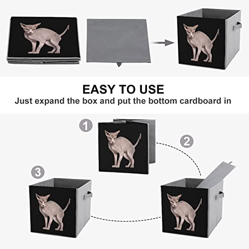 Hairless Sphynx Cat Collapsible Storage Bins Basics Folding Fabric Storage Cubes Organizer Boxes with Handles