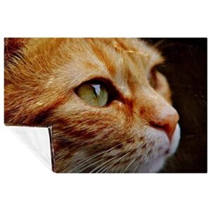 plush blanket throw blanket warm cozy soft microfiber blankets, animal orange cat