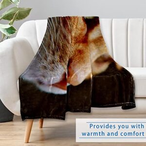 Plush Blanket Throw Blanket Warm Cozy Soft Microfiber Blankets, Animal Orange Cat