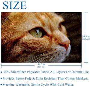 Plush Blanket Throw Blanket Warm Cozy Soft Microfiber Blankets, Animal Orange Cat