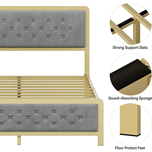 Fancihabor Gold Queen Size Bed Frame, Velvet Upholstered Platform Bed with Button Tufted Headboard, Heavy Duty Metal Mattress Foundation and Metal Slats, No Box Spring Rquired (Grey, Queen)