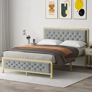 Fancihabor Gold Queen Size Bed Frame, Velvet Upholstered Platform Bed with Button Tufted Headboard, Heavy Duty Metal Mattress Foundation and Metal Slats, No Box Spring Rquired (Grey, Queen)