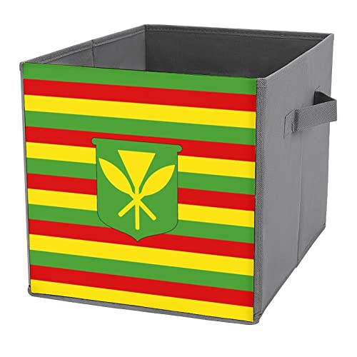 Kanaka Maoli Flag PU Leather Collapsible Storage Bins Canvas Cube Organizer Basket with Handles