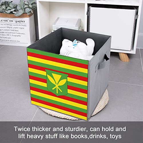 Kanaka Maoli Flag PU Leather Collapsible Storage Bins Canvas Cube Organizer Basket with Handles