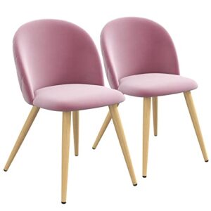 fangflower accent living room chairs - pink velvet dining chairs set of 2, vanity armless chair for makeup room, bedrooms, kitchen, upholstered side chairs with wooden-like legs