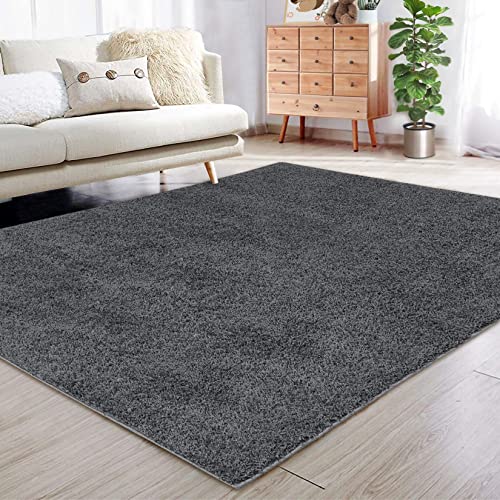 Fashionwu Area Rugs 8 x 10 Shaggy Rug for Bedroom Non-Shedding Fluffy Shag Area Rug Soft Plush Rug Luxury High Pile Fluffy Shag Rugs for Bedroom Cozy Carpet for Kids Room Nursery Room, Dark Grey