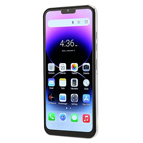 VINGVO Cell Phone, 6.53 Inch Full Screen Dual SIM Dual Standby 6000mAh High Capacity Battery Mobile Phone MT6735 CPU Processor for Work (US Plug)