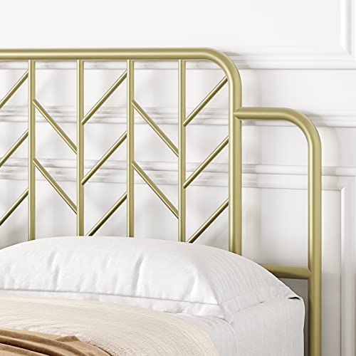 Amyove Gold Metal Queen Size Bed Frame with Headboard and Footboard, 12.6 Inches Metal Mattress Foundation for Storage, No Box Spring Needed, Easy Assembly, Modern Style Furniture (Branch)