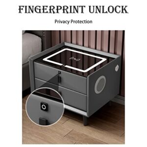 Night Stand for Living Room Bedroom Smart Modern Bedside Table with Fingerprint Lock Drawer Bluetooth Audio (Color : D 2-Drawers, Size : C+Audio+Fingerprint)