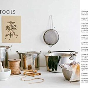 The Wild Dyer: A Maker's Guide to Natural Dyes with Projects to Create and Stitch