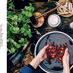 The Wild Dyer: A Maker's Guide to Natural Dyes with Projects to Create and Stitch