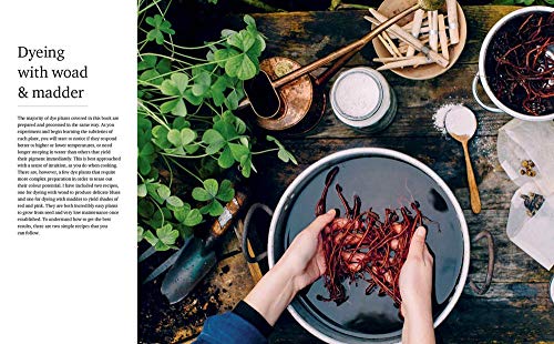 The Wild Dyer: A Maker's Guide to Natural Dyes with Projects to Create and Stitch