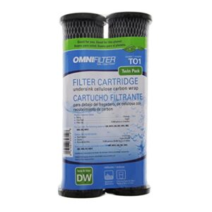 double pack cartridge water filter