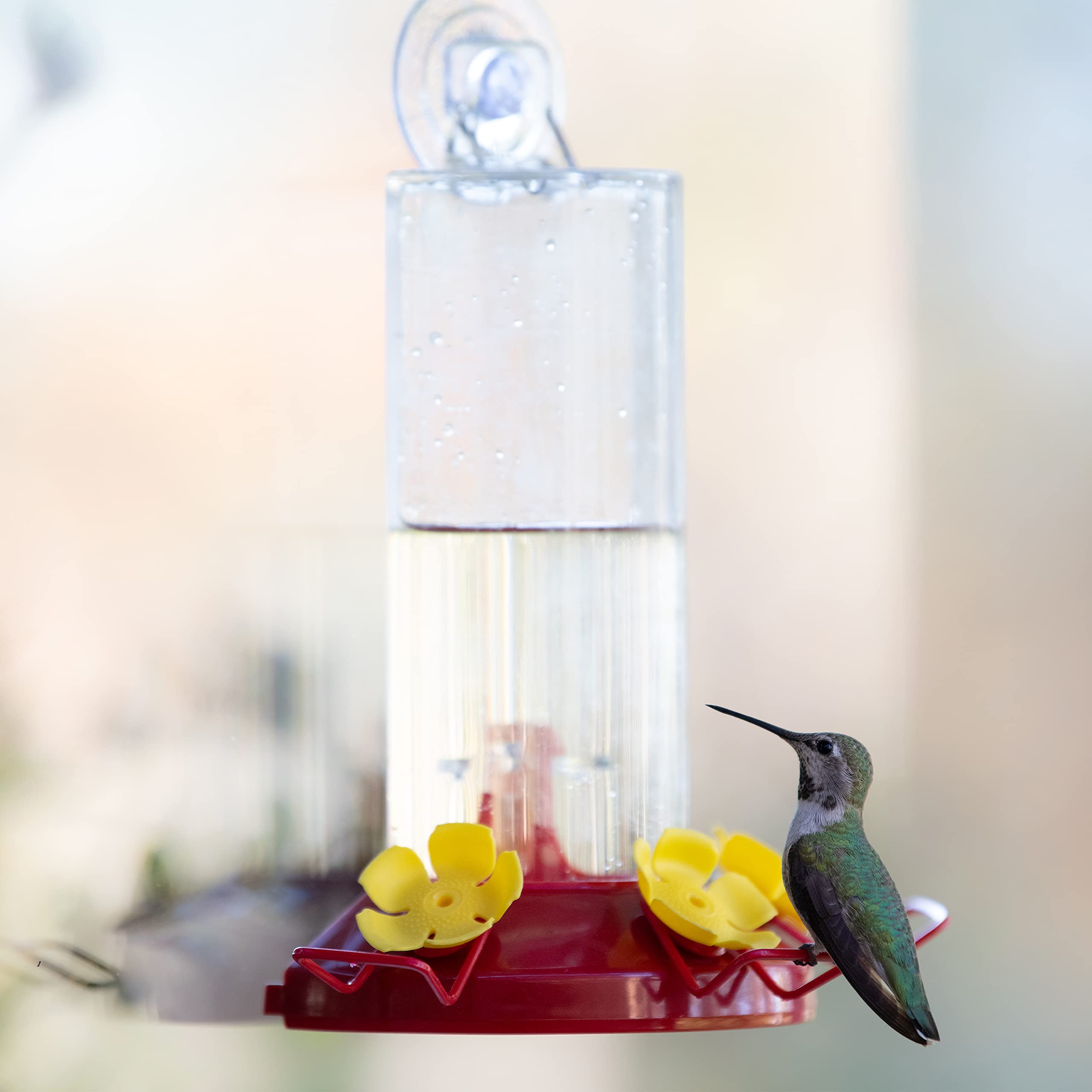 Perky-Pet 217 Window Mount Plastic Hummingbird Feeder with Perches - 8 oz Outdoor Garden Décor Hummingbird Feeder,  iridescent color