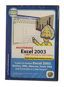 mastering excel 2003