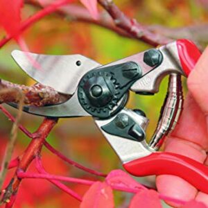 Felco Pruning Shears (F 6) - High Performance Swiss Made One-Hand Garden Pruners - 100052385