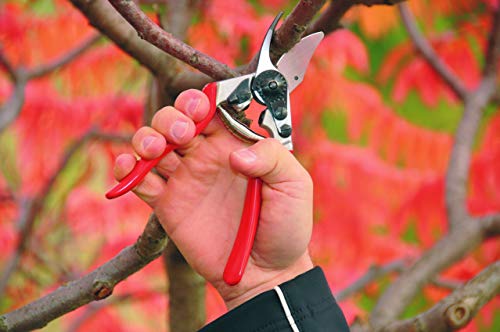 Felco Pruning Shears (F 6) - High Performance Swiss Made One-Hand Garden Pruners - 100052385