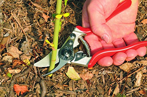 Felco Pruning Shears (F 6) - High Performance Swiss Made One-Hand Garden Pruners - 100052385