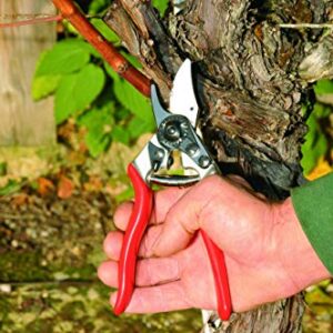 Felco Pruning Shears (F 6) - High Performance Swiss Made One-Hand Garden Pruners - 100052385