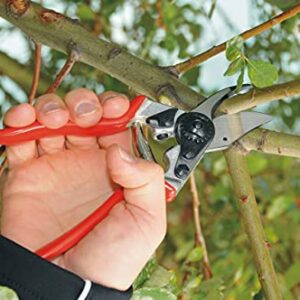 Felco Pruning Shears (F 6) - High Performance Swiss Made One-Hand Garden Pruners - 100052385