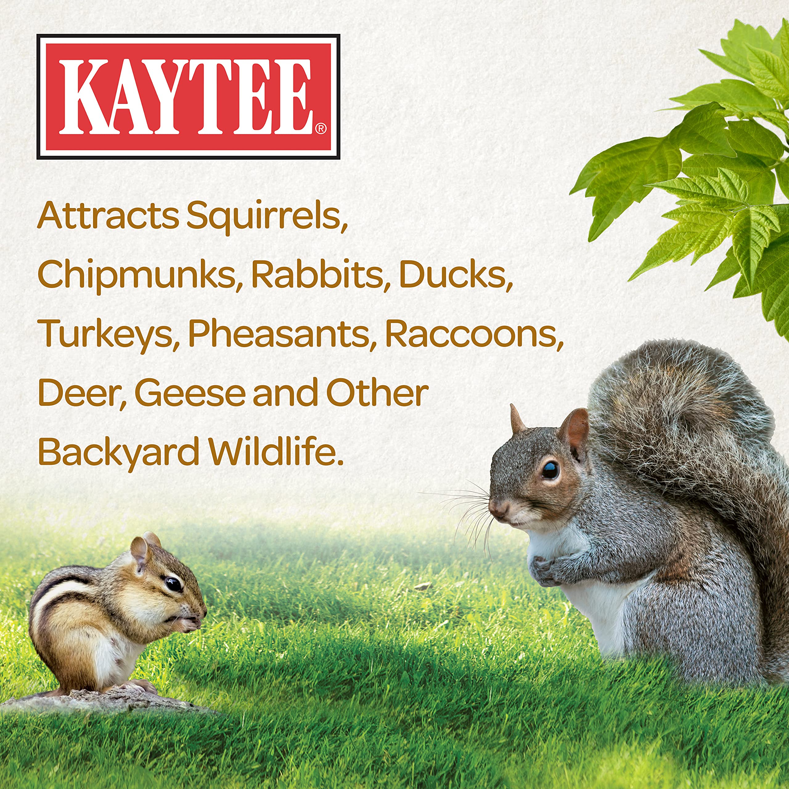 Kaytee Squirrel & Critter Food Blend For Squirrels, Chipmunks, Rabbits & Other Backyard Wildlife 10 Pound (Pack of 1)