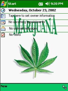 marijuana today theme