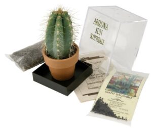 grow your own saguaro cactus kit – incubator – cactus seeds – southwest arizona southwestern gift idea - seed propagation - desert souvenir