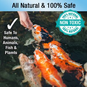 microbe-lift pl pond bacteria and outdoor water garden cleaner, safe for live koi fish, plant life, and decor (32 ounces)