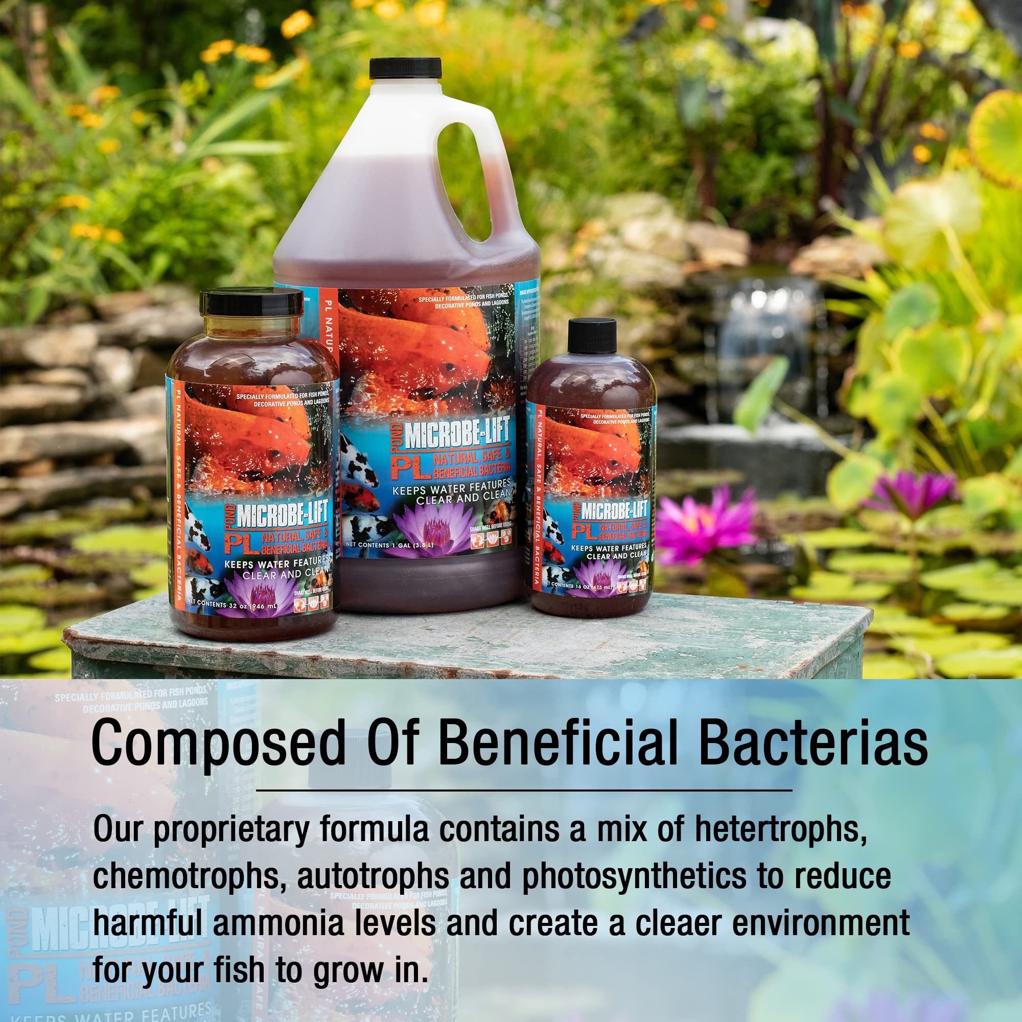 MICROBE-LIFT PL Pond Bacteria and Outdoor Water Garden Cleaner, Safe for Live Koi Fish, Plant Life, and Decor (32 Ounces)