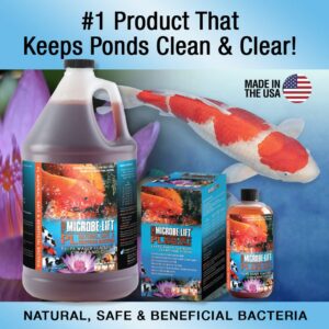 MICROBE-LIFT PL Pond Bacteria and Outdoor Water Garden Cleaner, Safe for Live Koi Fish, Plant Life, and Decor (32 Ounces)