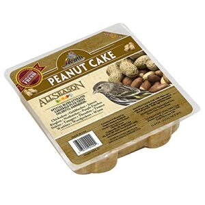 heath outdoor products dd5-12 suet peanut cake, case of 12 , brown